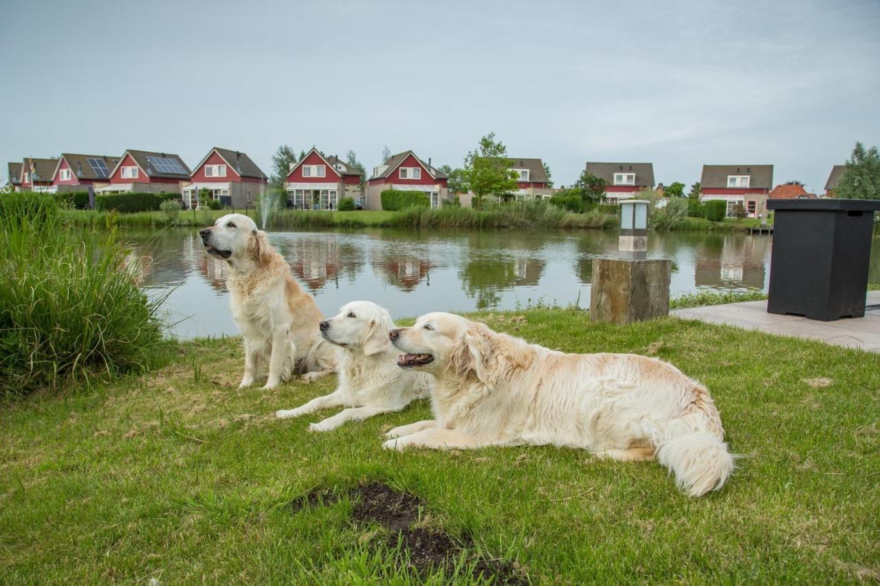 Maxime 203 - Kustpark Village Scaldia Hoofdplaat Zewnętrze zdjęcie